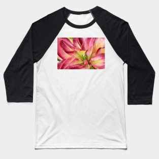 Lilium  &#39;Double Sensation&#39;   Double Asiatic lily Baseball T-Shirt